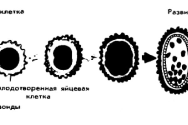 Kra32.cc